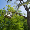 Boosting Real Estate Brokerage Deals In Newburg: The Game-changing Power Of Tree Service